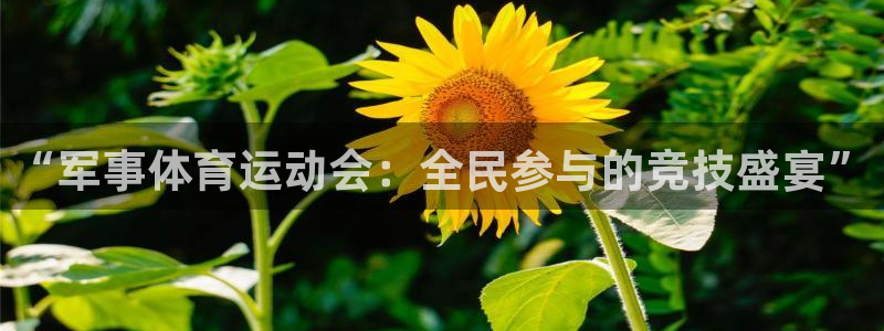 77体育app下载官网