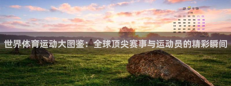 77体育官网