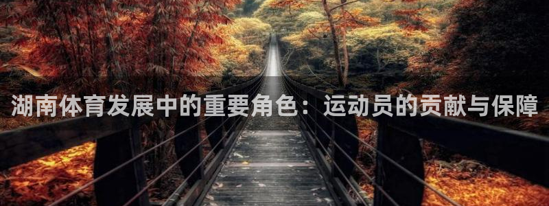 77体育官网