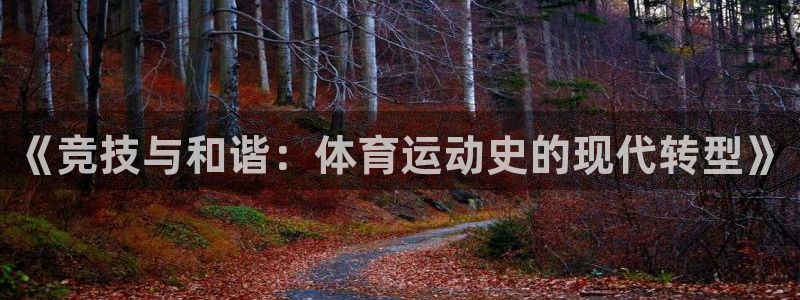 77体育