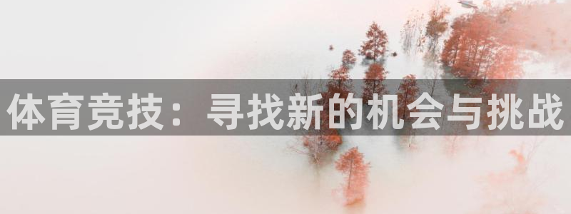 77体育官网