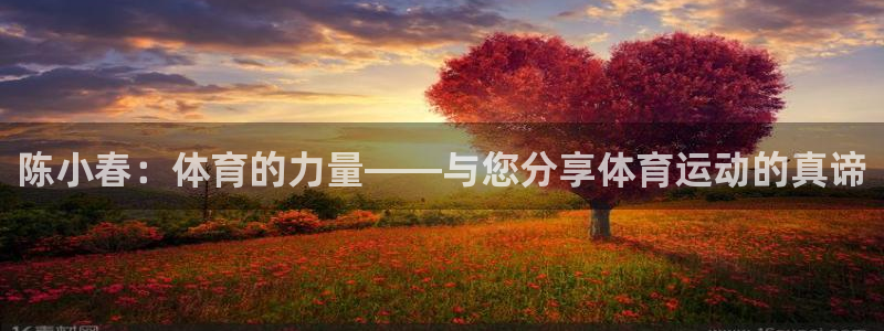 77体育官网