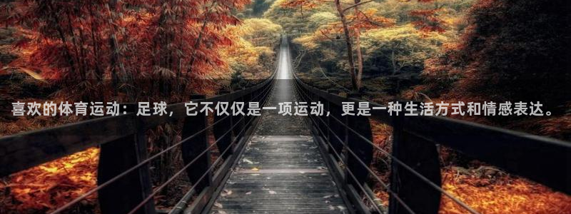 77体育app下载官网