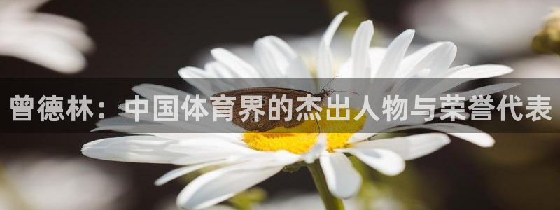 皇冠277体育