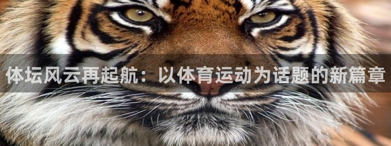 77体育