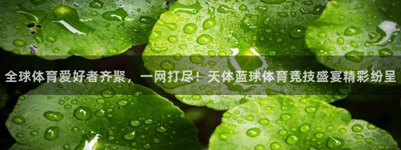 77体育