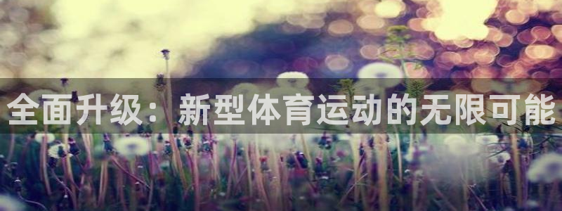 77体育官网
