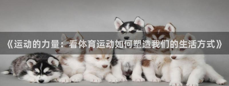 77体育官网