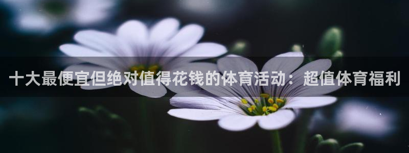 77体育